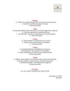 stugans-kok-stenkullen